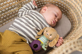 Activity toy Taf Toys - Jenny the bunny