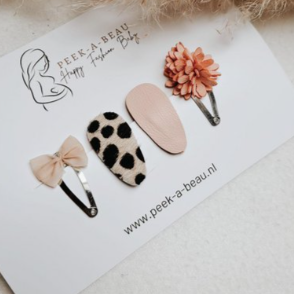 Set haarspeldjes peek-a-beau - Skye sweet pink
