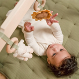 Babygym Little Dutch - Little Farm