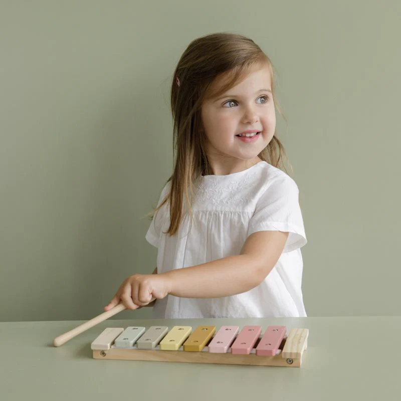 Xylofoon Little Dutch - Pink