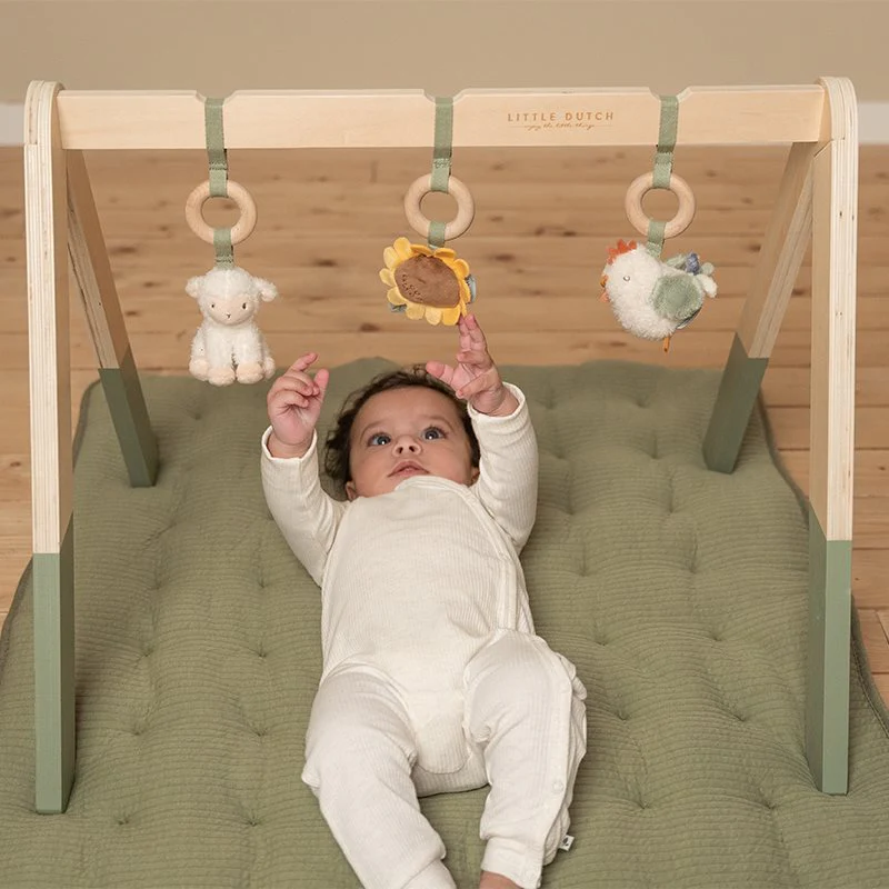 Babygym Little Dutch - Little Farm
