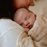 Tetradoek Little dutch - Little goose 120x120cm