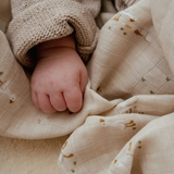 Tetradoek Little dutch - Little goose 120x120cm