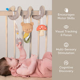 Activity toy Taf toys - bear hugs