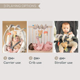 Activity toy Taf toys - bear hugs