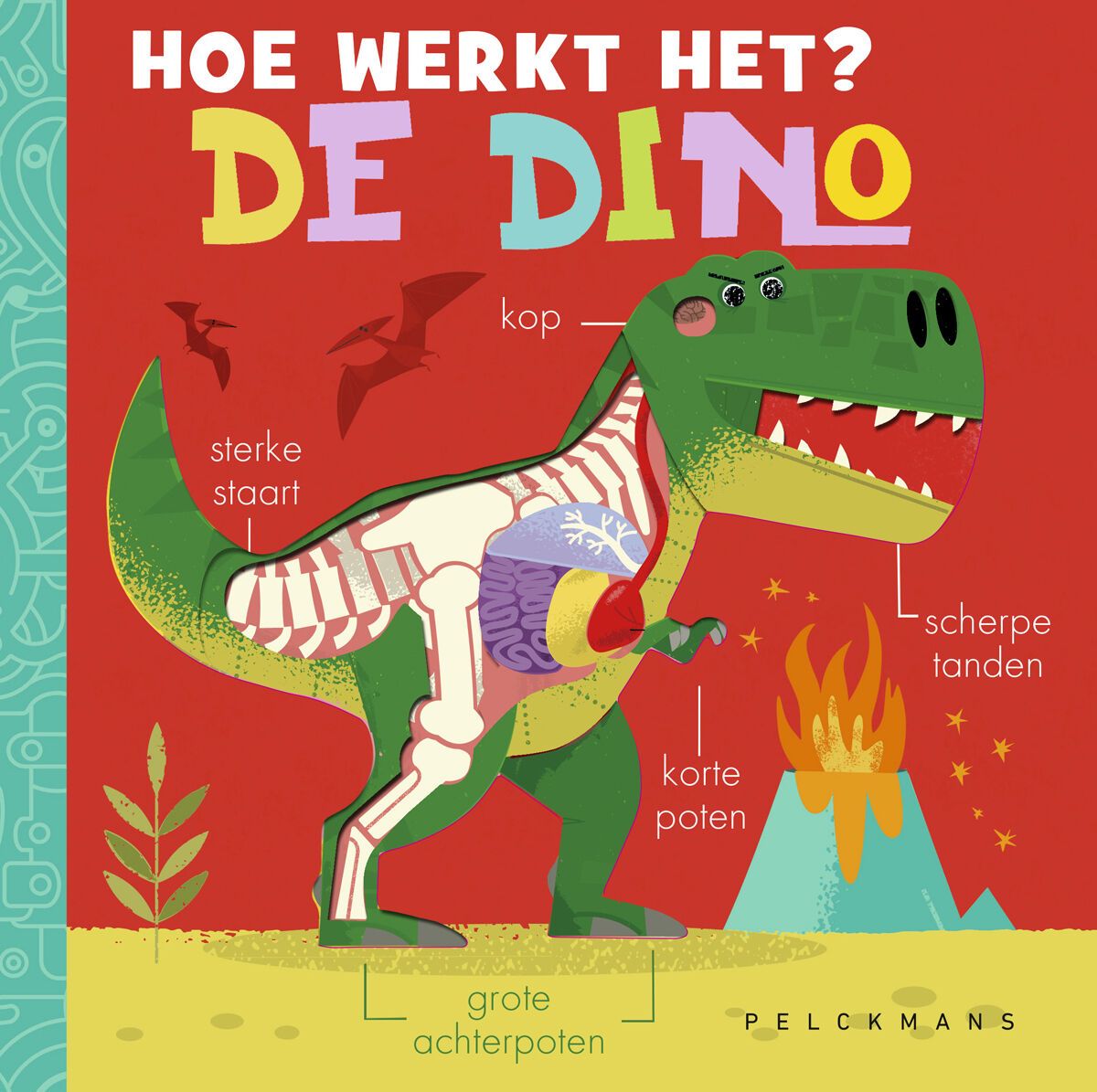boekje Pelckmans - Hoe werkt het? De dino