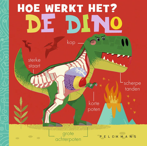 boekje Pelckmans - Hoe werkt het? De dino