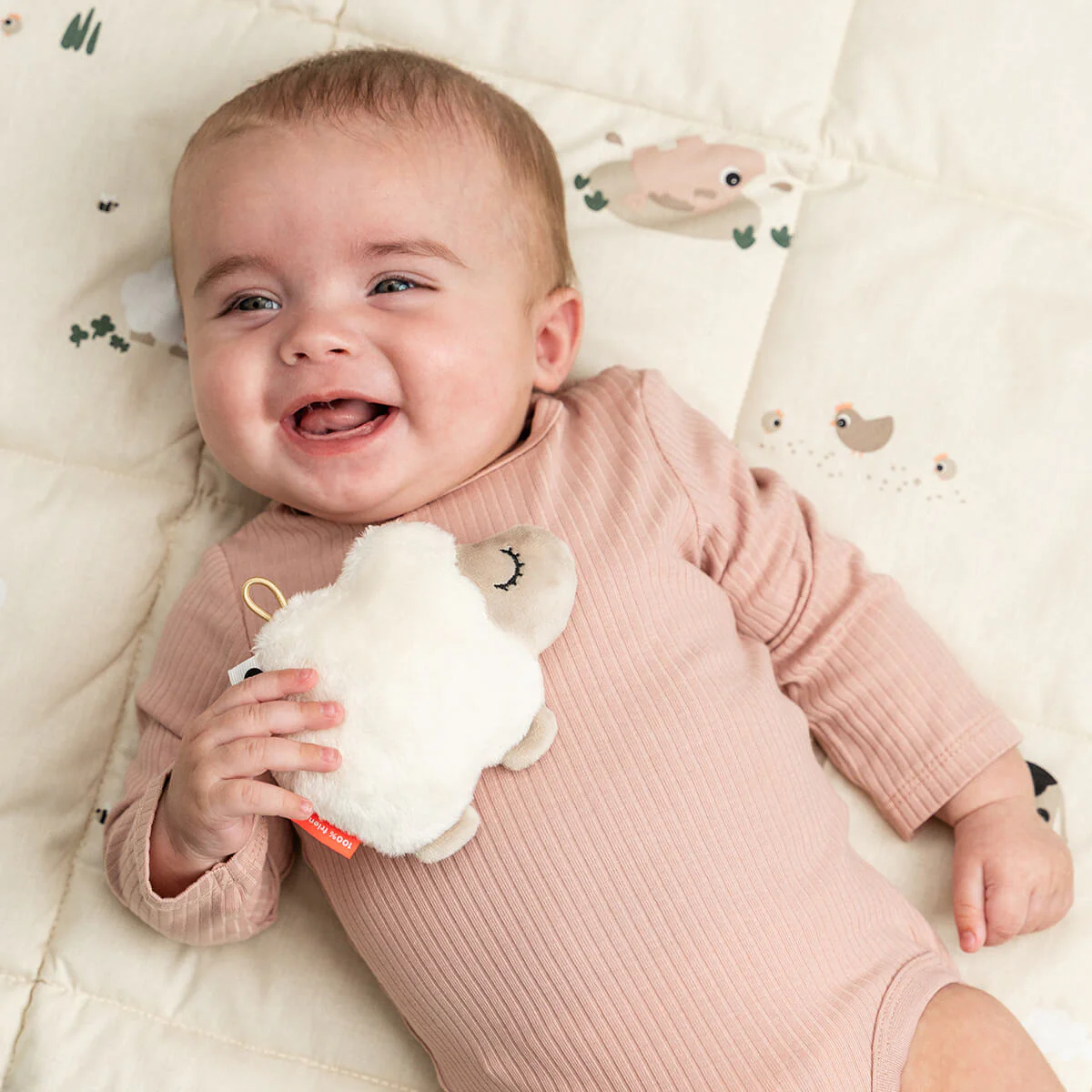 Rammelaar Done by deer - Sheepy sand