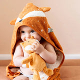 Badcape Trixie - Mr. fox