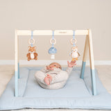 Babygym Little Dutch - Forest friends