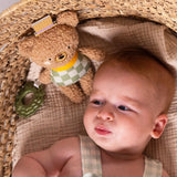 Activity toy Taf Toys - Brandon
