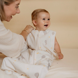 4-seizoensslaapzak Puckababy - Balloons (6m-2,5j)