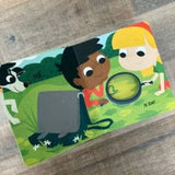 boekje Pelckmans - Het dikke insectenboek