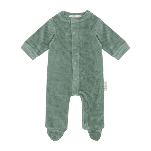 Boxpakje Witlof For Kids - Rib velvet Forest Green