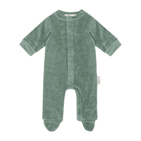 Boxpakje Witlof For Kids - Rib velvet Forest Green