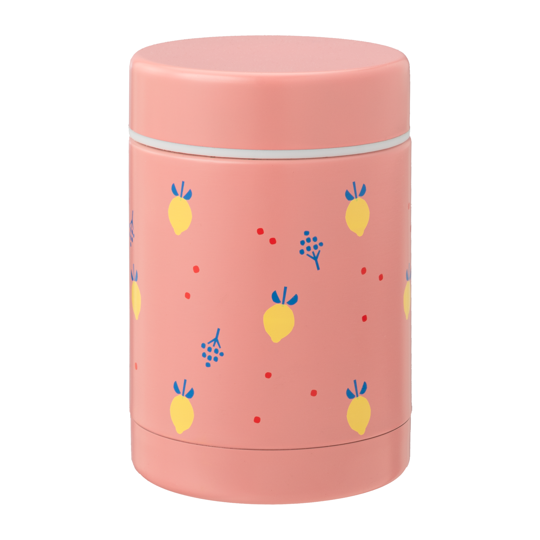 Voedsel bewaarcontainer Fresk 300ml  - Summer fruit